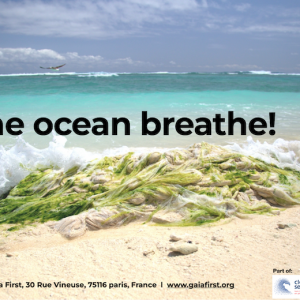 Was ich zurzeit über Schiffe lerne