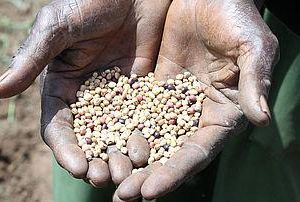 Ein fetter Dank am Jahresende 