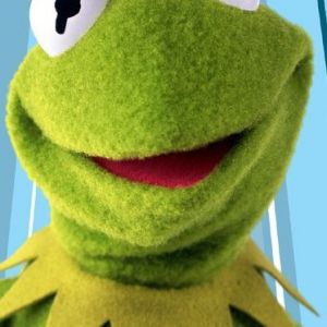 Warum ich großen Respekt vor Kermit dem Frosch habe